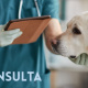Desde $10: Consulta y Baño para Perros thumbnail 1