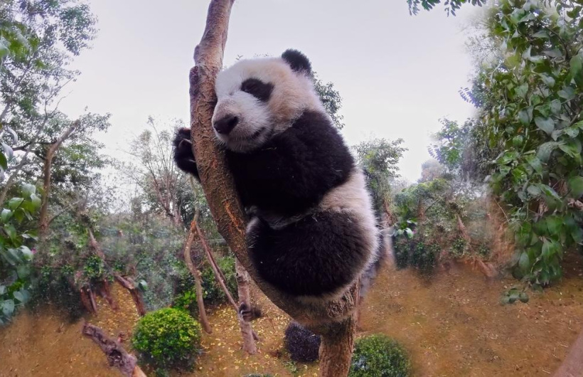 Desde $10.40: Experiencia de Realidad Virtual