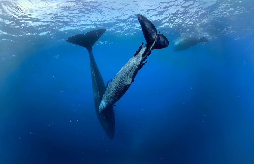 Desde $10.40: Experiencia de Realidad Virtual